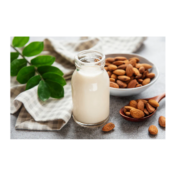 Vegan Drinks Maker Hot & Cold - 600 Ml