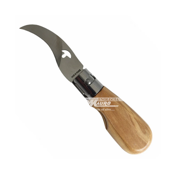 Coltello Pieghevole Per Funghi - 15 Cm
