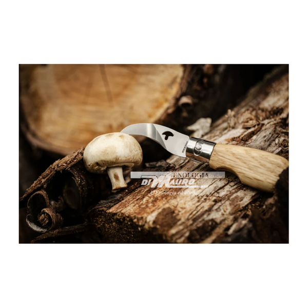 Coltello Pieghevole Per Funghi - 15 Cm