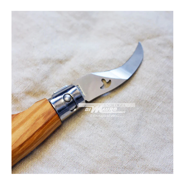 Coltello Pieghevole Per Funghi - 15 Cm