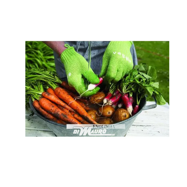 Guanti per pulire le Verdure