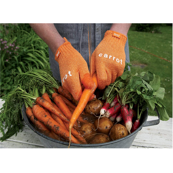 Guanti per pulire le Carote