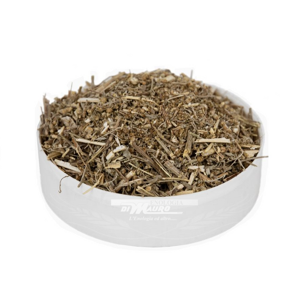 Assenzio Romano - 50 Gr