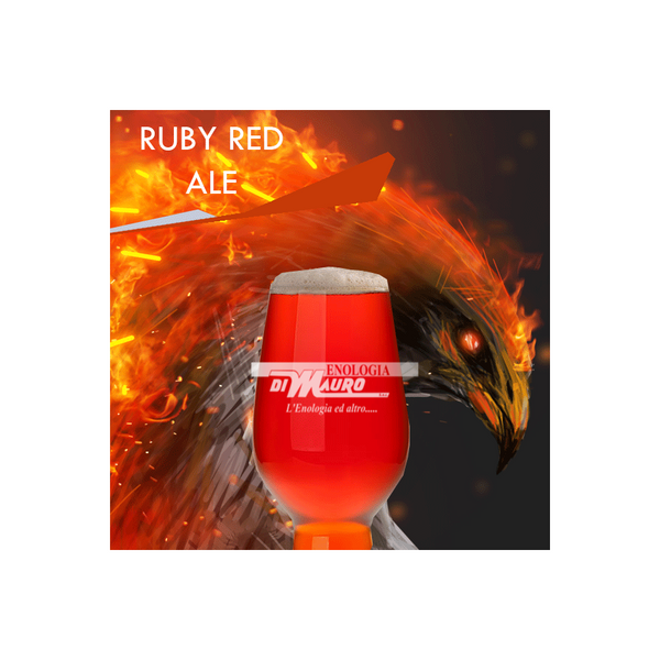 Beer Kit E+G RUBY RED ALE