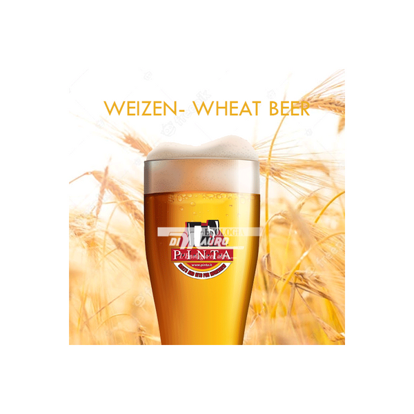 Beer Kit E+G WHEAT BEER (Weizen)