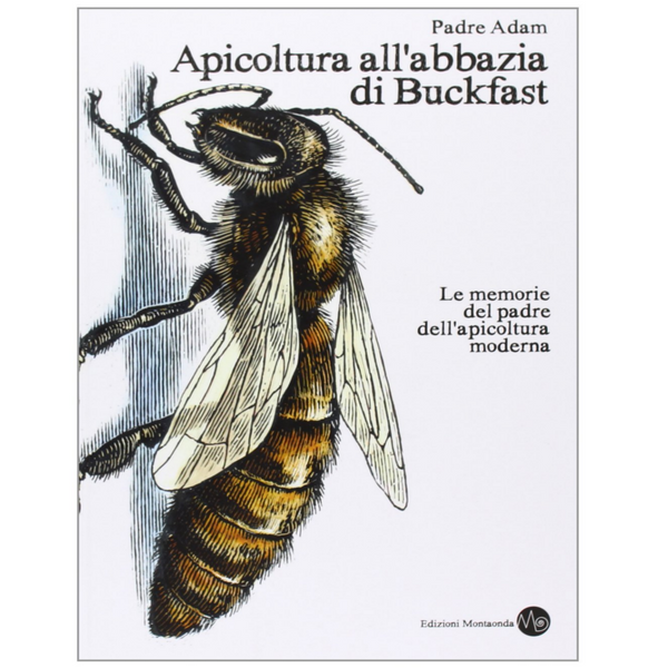 Apicoltura all'abbazia di Buckfast