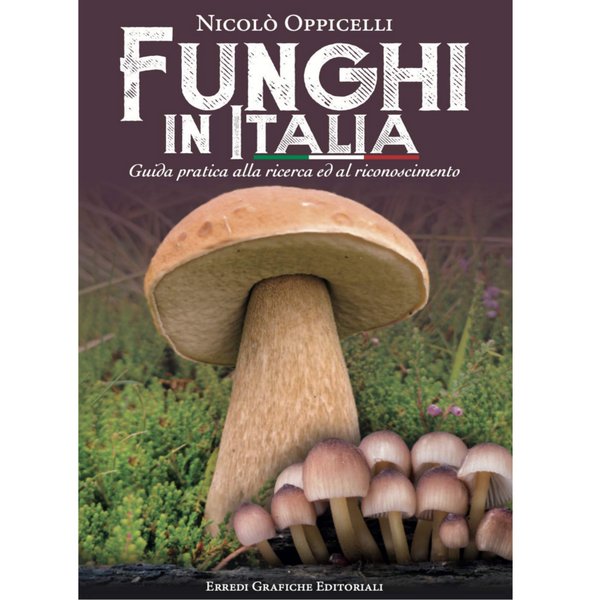 FUNGHI IN ITALIA